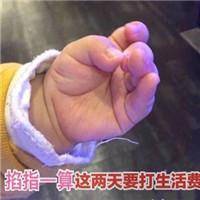 royal 500 slot Pang Xiu bertanya dengan cemas: Apakah Anda benar-benar ingin melihat anak ini mati di tangan Zhang Wuji?